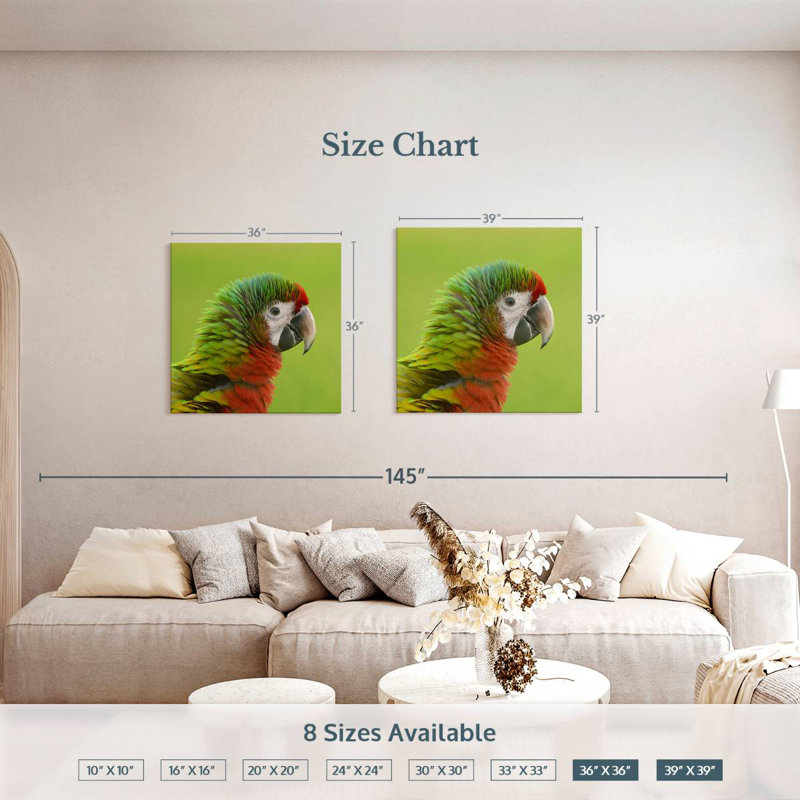 Brampt Macaw Bird Head, 39" H x 39" W