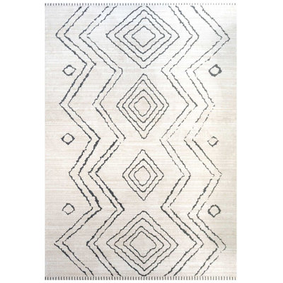 Goleta Shag Area Rug