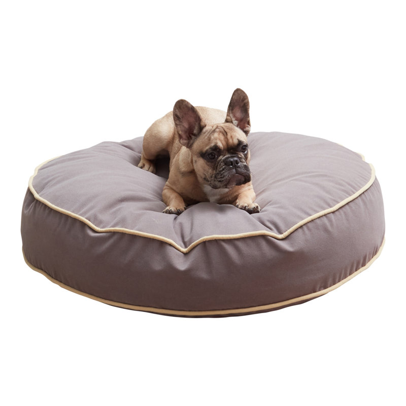 Lit pour chien Buckhead, Moyen (l 30 po x P 30 po x H 5 po), Fumée