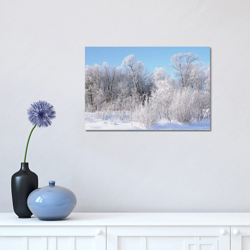 Hoar Frost by Brian Wolf - Wrapped Canvas Print, 30.48cm H x 45.72cm W x 1.91cm D