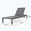 Chaise longue Modern Coral Kd - gris-183429426