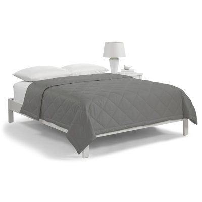 Down Alternative Blanket for Bed, 100% Cotton Cover, Scotchgard Stain Release