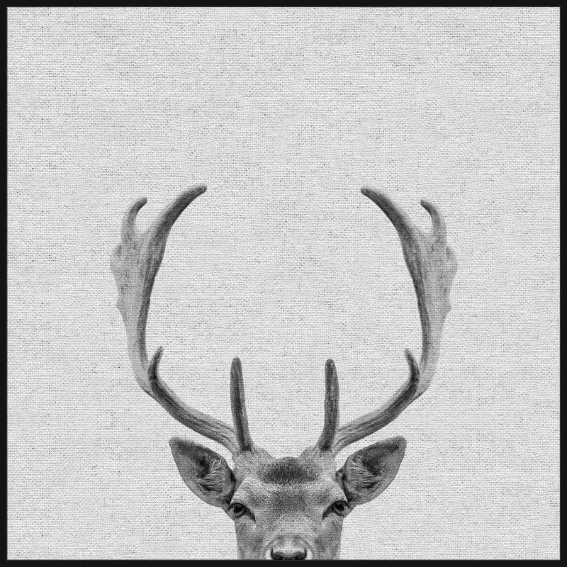 Buck Surprise II - Drawing on Canvas, 30cm H x 30cm W