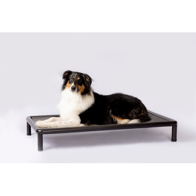 Cooling Elevated Dog Bed