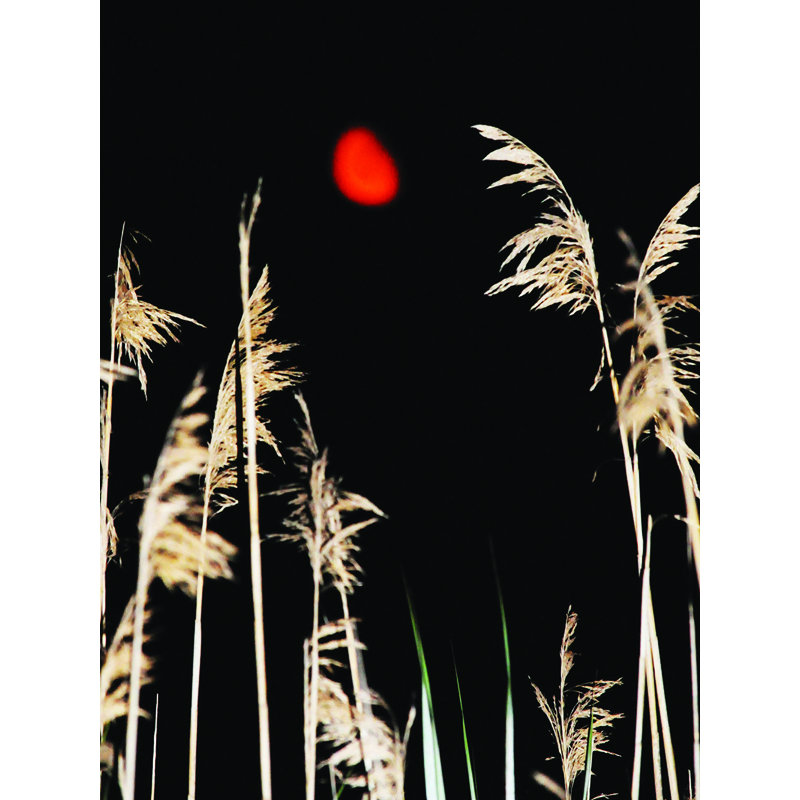 «Harvest Moon» par Joseph Elliot - reproduction de photo, H 16 po x l 12 po x P 0,15 po, Papier, Pas de tapis