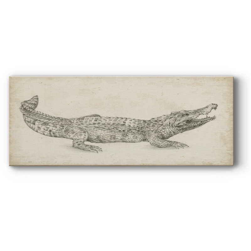 Croquis de crocodile sur toile, H 20 po x l 50 po x P 1,5 po