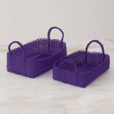 World Menagerie Plastic Box