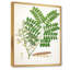 Vintage Botanicals VII - peinture sur toile-59814195-59814188