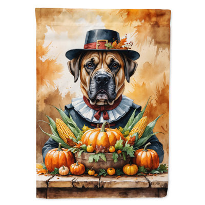 Thanksgiving House Flag