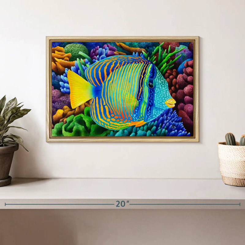 Sailfin Tang, Cadre flottant en bois naturel, 13 po x 9 po
