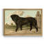 Mastiff - cadre photo, reproduction d'art sur toile-719610033-719610032