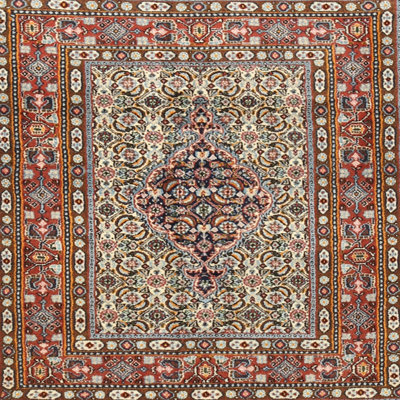 Oriental Indoor Rug