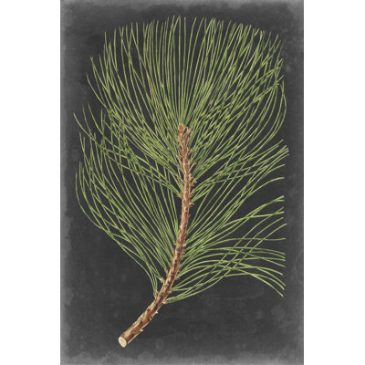 «Dramatic Pine III» par Vision Studio, reproduction d'art sur toile tendue