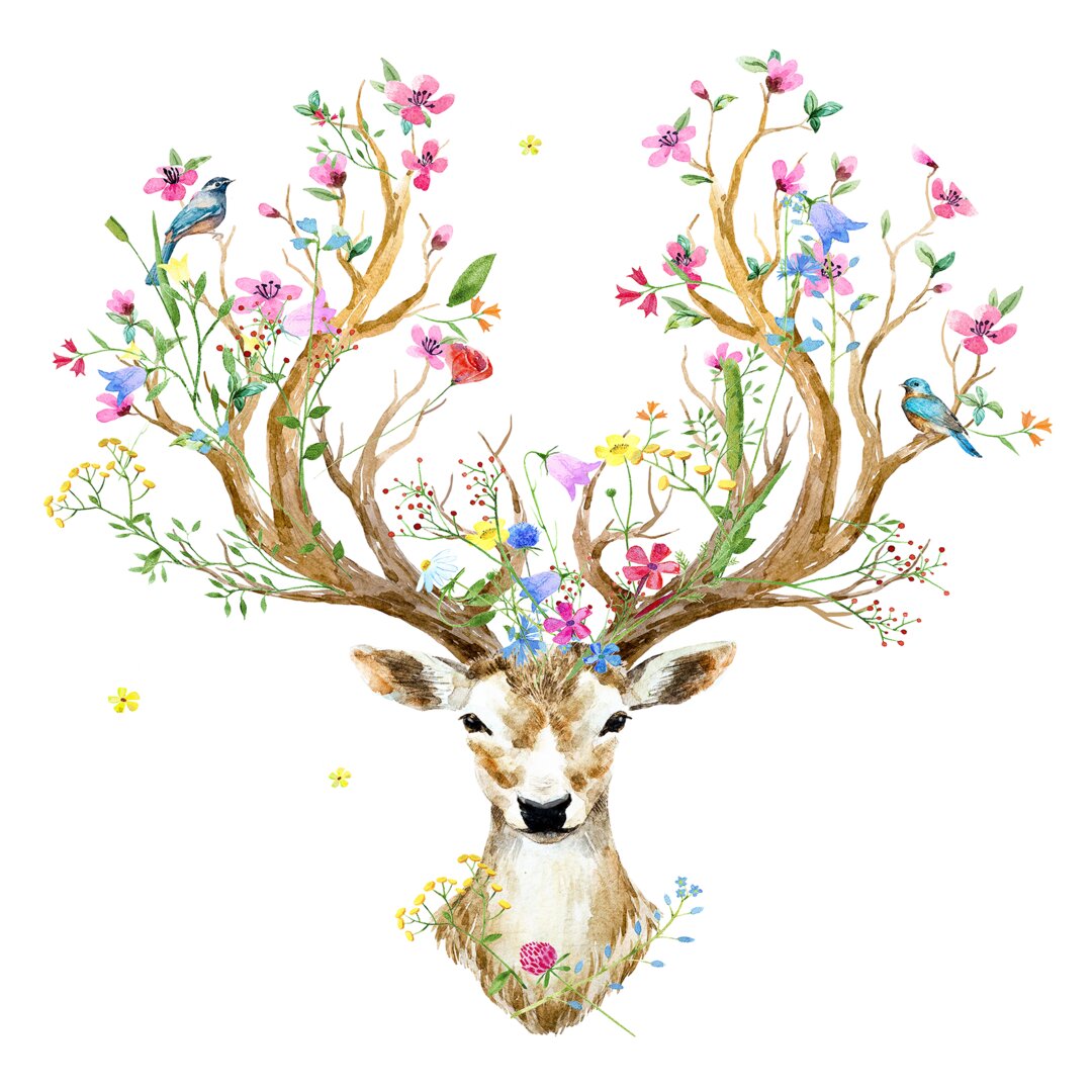 Glasbild Beautiful Deer