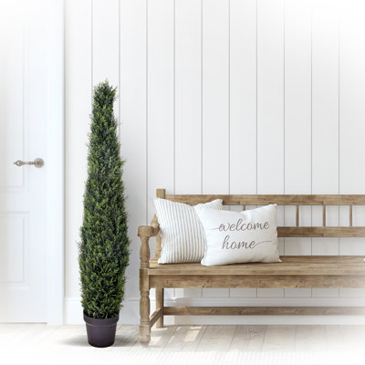 Faux Cypress Topiary in Plastic Pot