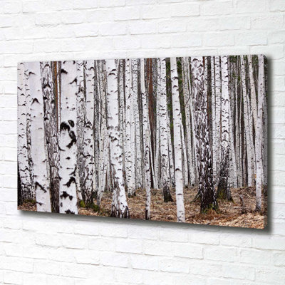 Birch-tree - No Frame Print on Canvas