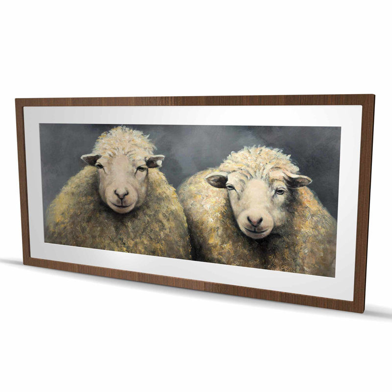 Wool Sheeps - Best Selling, Brun