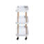 Aleyda Tray Top End Table-691628203