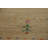 Camel Tribal Gabbeh Oriental Area Rug