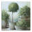 " Potted Greenery " Painting Print