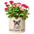 Woolbright Ceramic Pot Planter-29113038-29366234