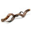 Polished Kudu Horn Pair-1132653309