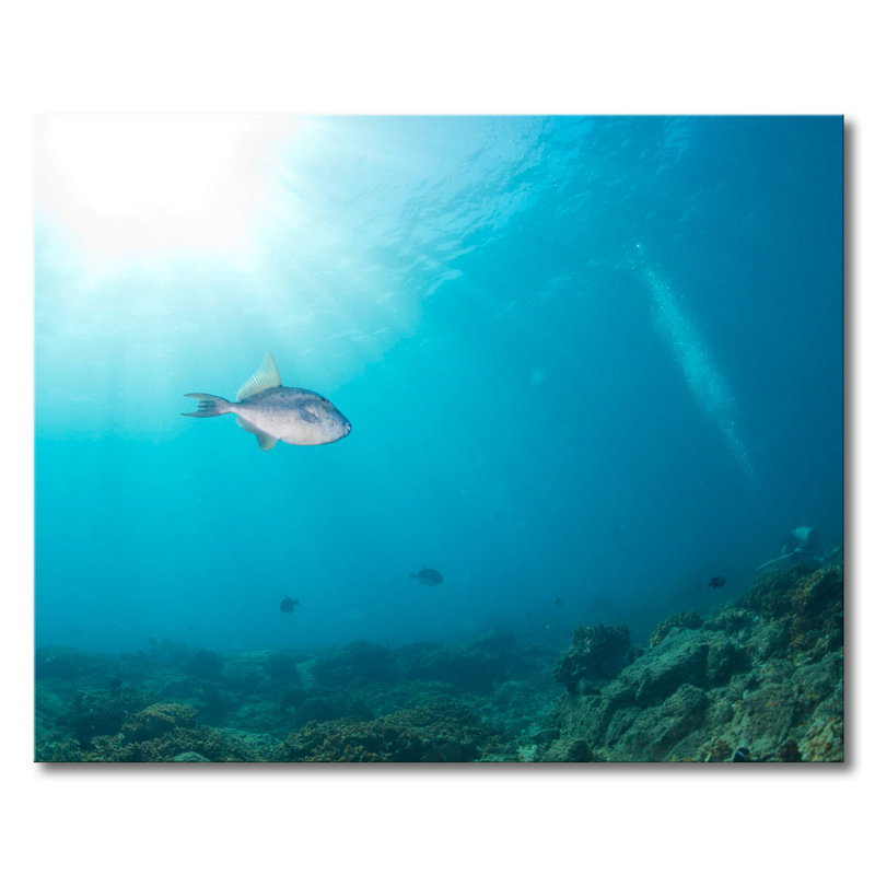Stretched On Wooden Frame Print on Canvas, 80cm H x 100cm W x 2cm D