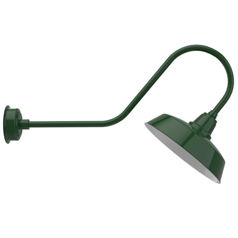 Luminaire de grange d’extérieur à del Vandervliet, H 12 po x l 16 po x P 36 po, Vert rétro
