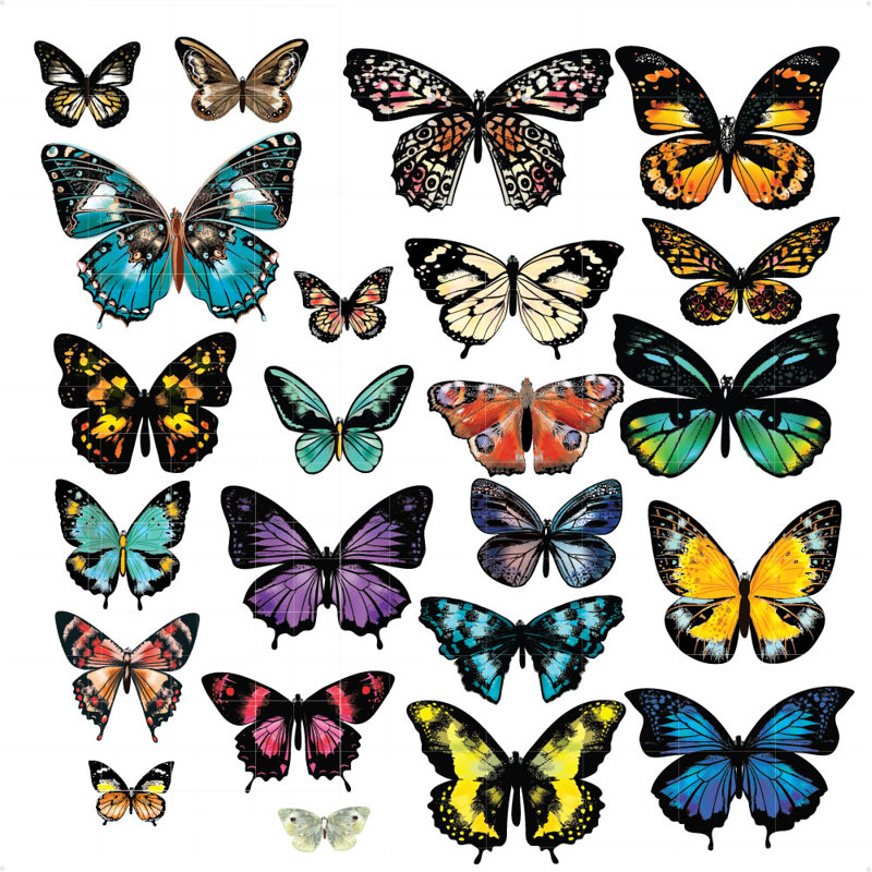 Insects Non-Wall Damaging Wall Sticker