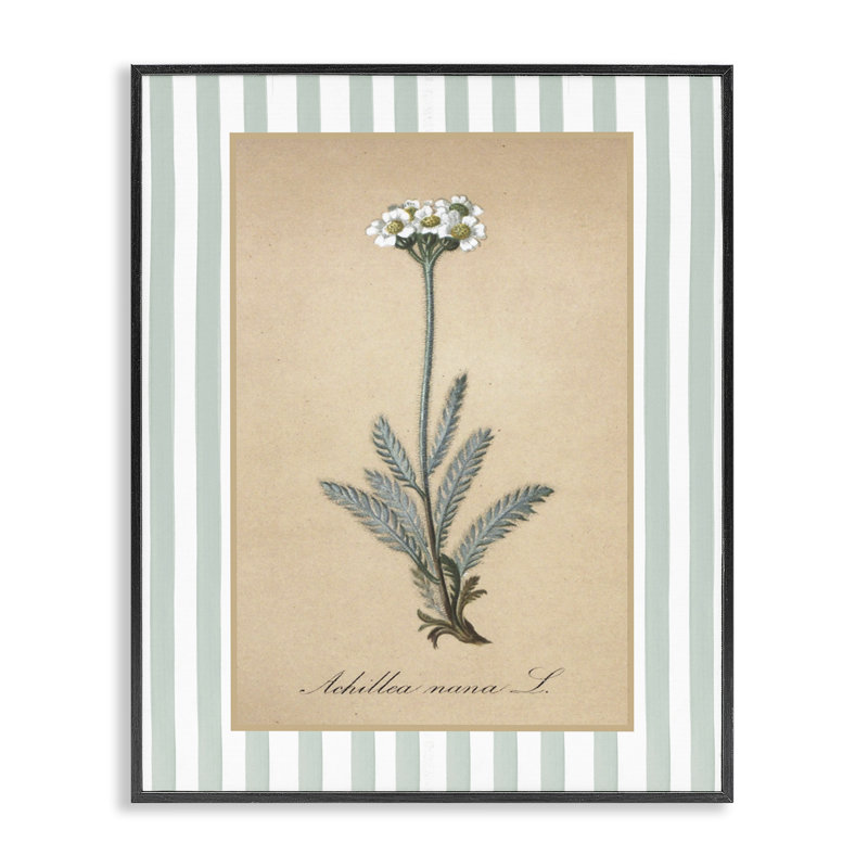 Giclée encadrée, par Wilded, Giclée encadrée noir minuit, H 30 po x l 24 po