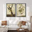 Illustration d'oiseau classique de la collection aviaire classique-101751886-101751887