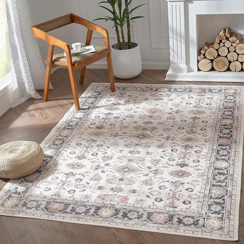 Nermine Chenille Mashine Washable Vintage Indoor Arae Rug with Non-Slip Backing for Bedroom Living Room Kitchen Entryway