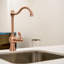 Robinet d'eau potable Nauxus-64155125