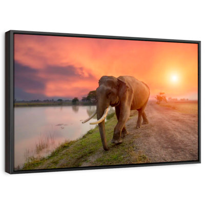 Surin Thailand Elephant Canvas Print