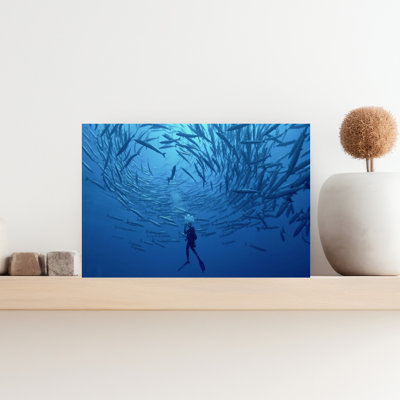 Underwater Barracuda Swirl Contemporary Fish Nature Ocean Wall Art Print