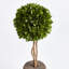 Alby Faux Boxwood Topiary in Planter-189621006