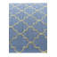 Tapis bleu Iverson