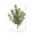 Sedum Arrangement