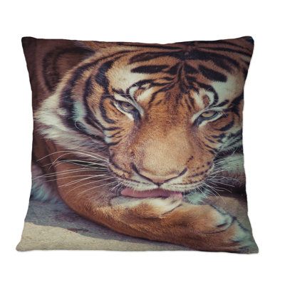 Design Art Portrait Of A Tigers Face Ii - Traditional Printed Throw Pillow In Brown