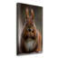 Squirrel - Wrapped Canvas Print