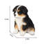 Australian shepherd | Handpainted Decorative Puppy Statue for Home & Garden Decor | Premium Polyresin Dog Statue | Gift for Dog Lovers | Weather-Resistant Indoor/Outdoor Decor-471285986