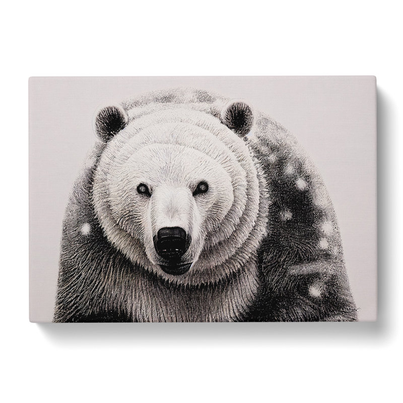 Tantalising Polar Bear - Wrapped Canvas, 40cm H x 60cm W x 3cm D