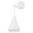 Bertie Steel Armed Sconce