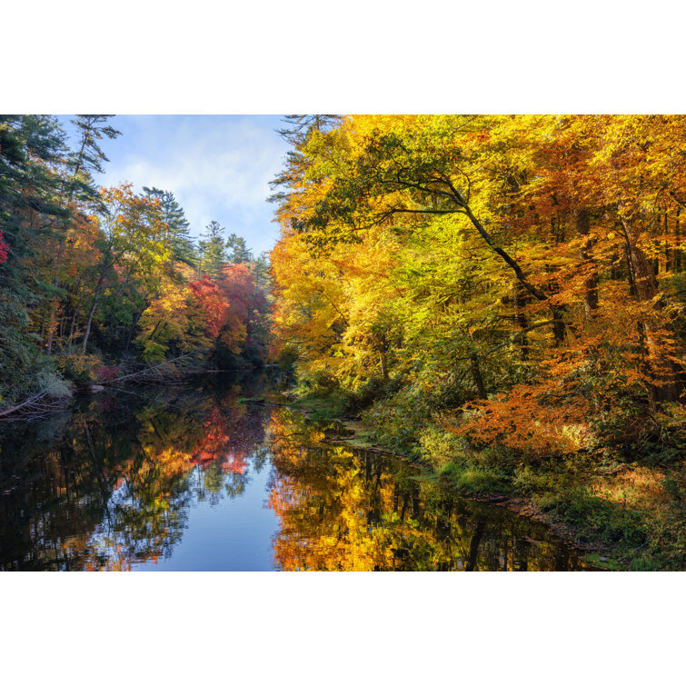 Millwood Pines Linville River - Wrapped Canvas Photograph | Wayfair