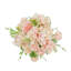 Hortensia / buisson de pompons - ensemble de 6-1240268876
