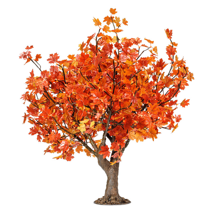 Érable illuminé et branches, Rouge