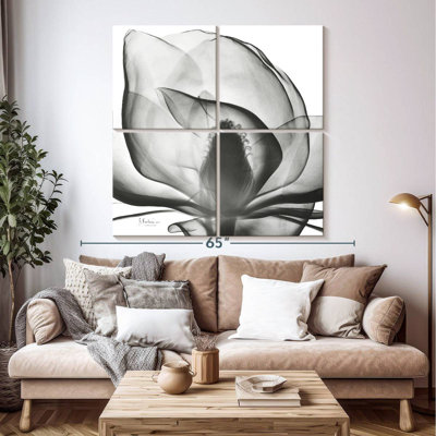 Gray Magnolia