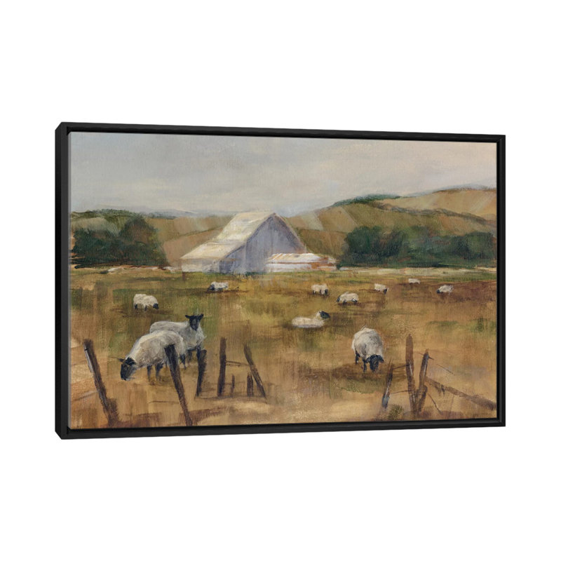 " Grazing Sheep I " by Ethan Harper, 18" H x 26" W x 1.5" D, Black Framed Canvas, No Mat