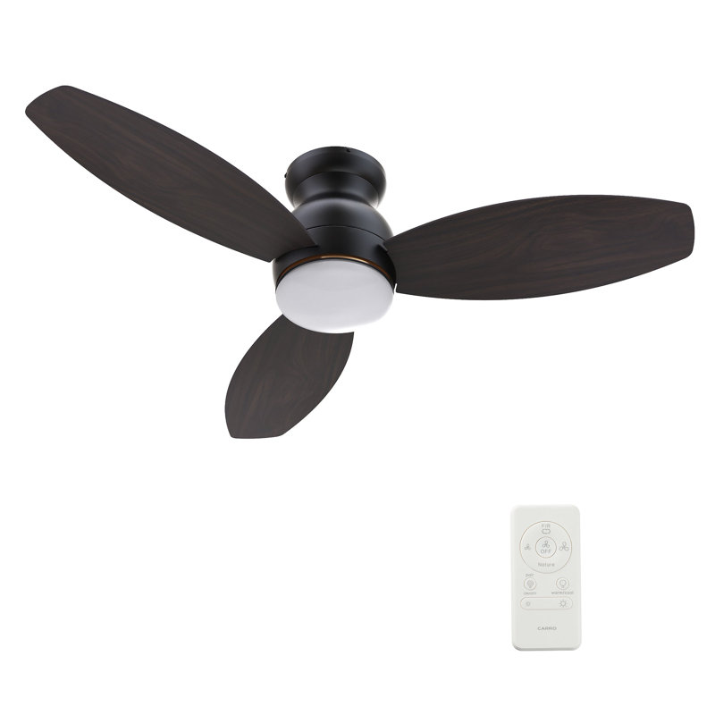 Ventilateur de plafond Honiton avec télécommande, ensemble d'éclairage inclus., 48 po de largeur, Noir, 215 tr / min
