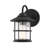 Shawsville Outdoor Wall Lantern